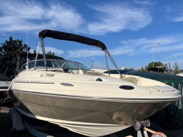 Sea Ray 220